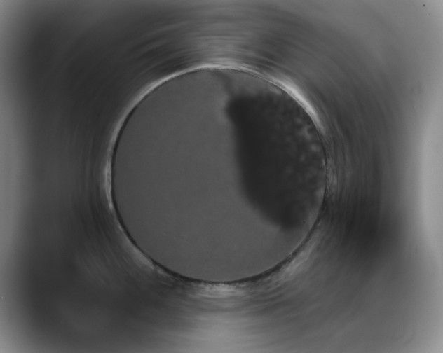 X0000090711100200707201211