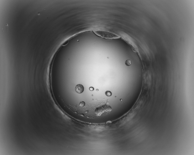 X0000090711103200707201211