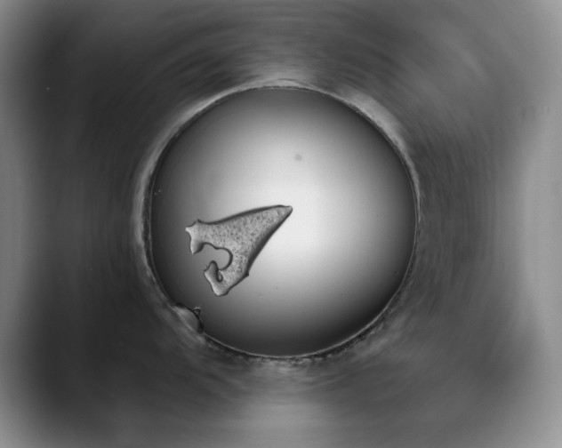 X0000090711104200707201211