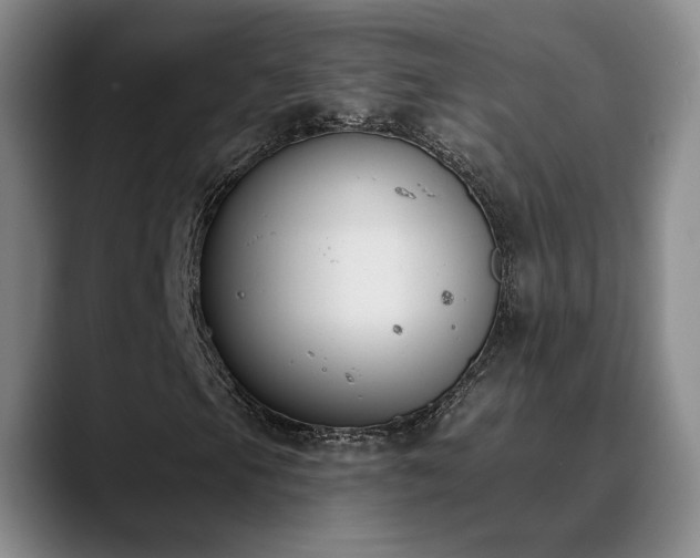 X0000090711105200707201210