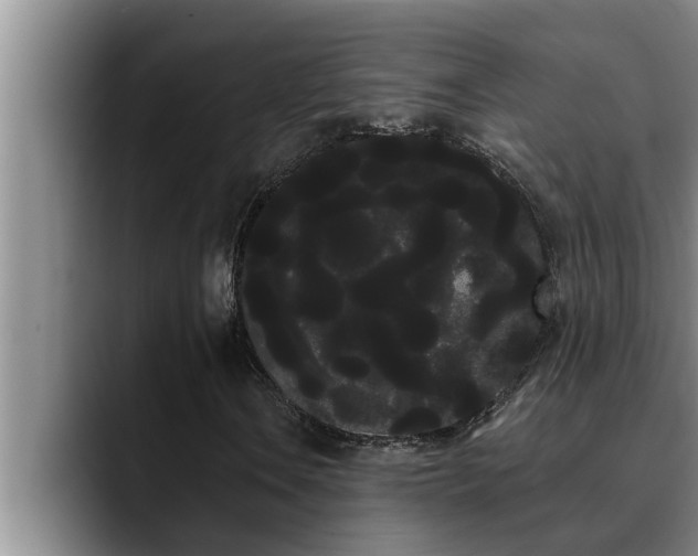 X0000090711106200707201210