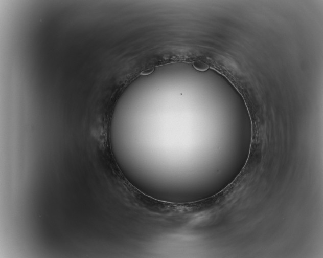 X0000090711109200707201210