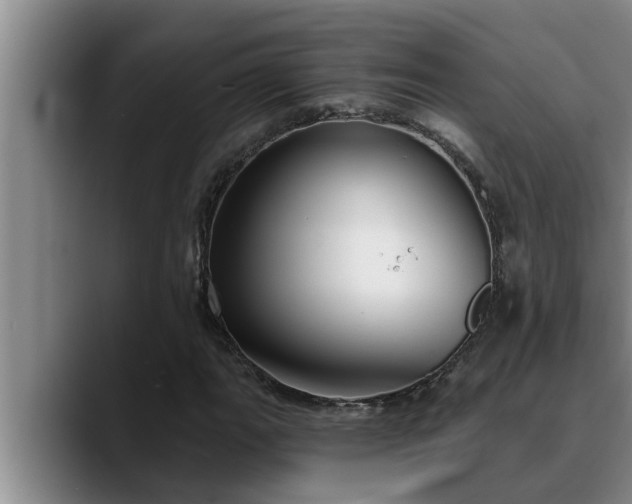 X0000090711111200707201210