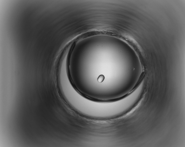 X0000090711114200707201210