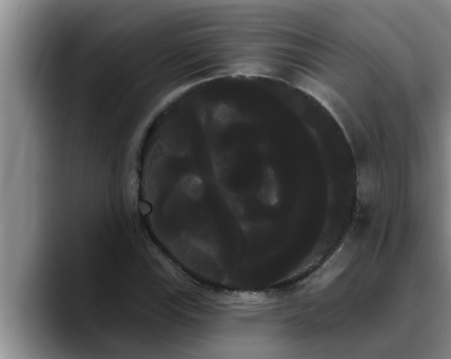 X0000090711115200707201210