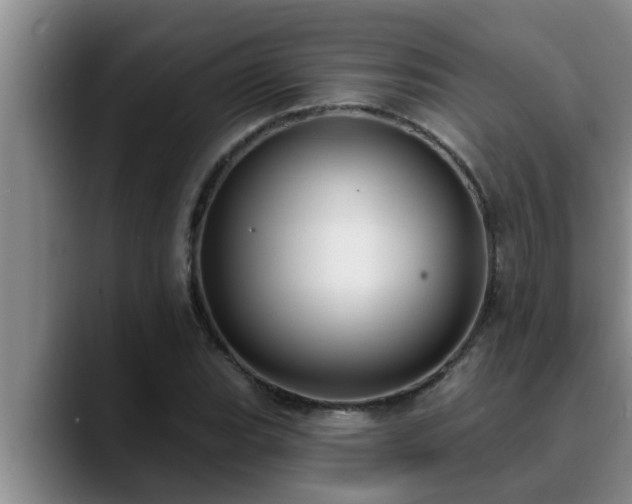 X0000090711119200707201210