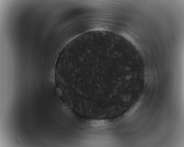 X0000090711121200707201210