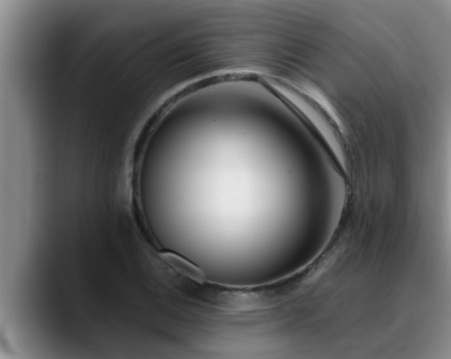 X0000090711124200707201210