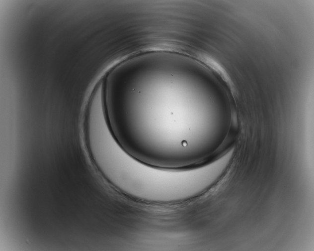 X0000090711138200707201211