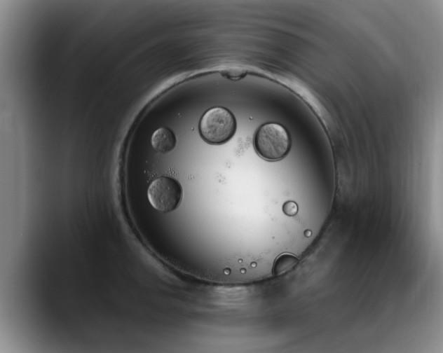 X0000090711142200707201211