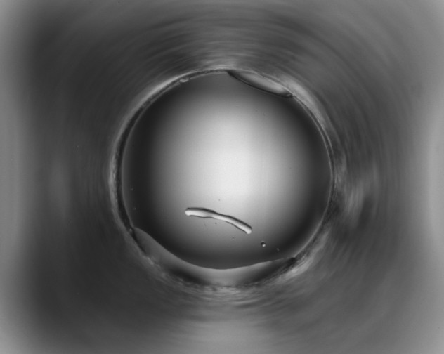 X0000090711149200707201211