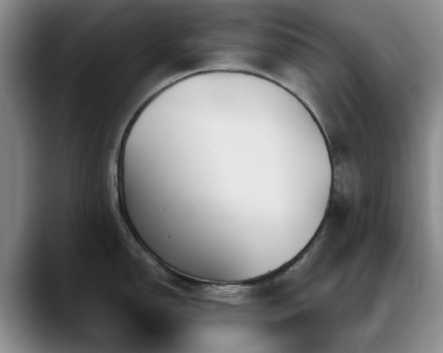 X0000090711150200707201211