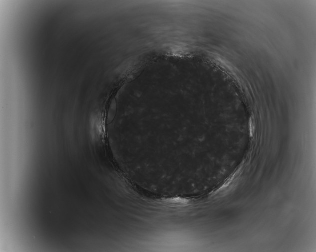 X0000090711155200707201210