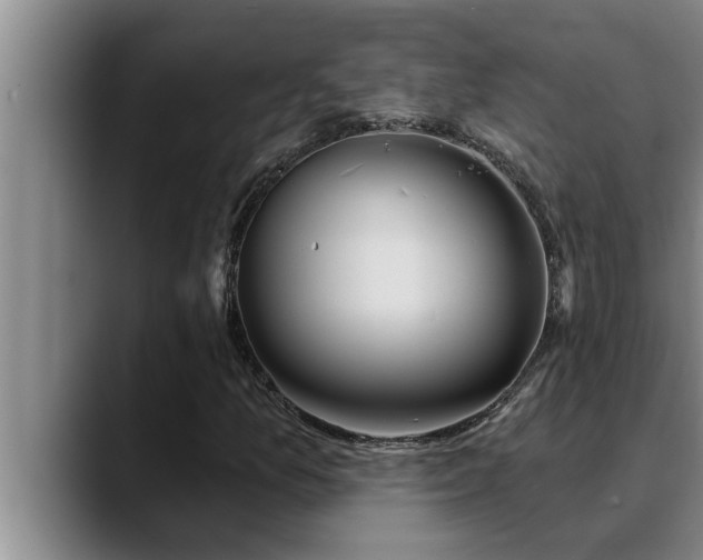 X0000090711157200707201210