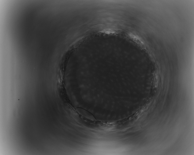 X0000090711158200707201210