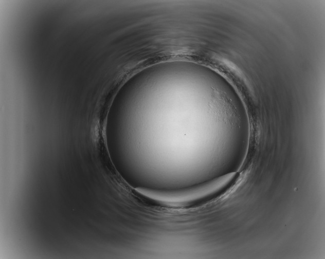 X0000090711161200707201210