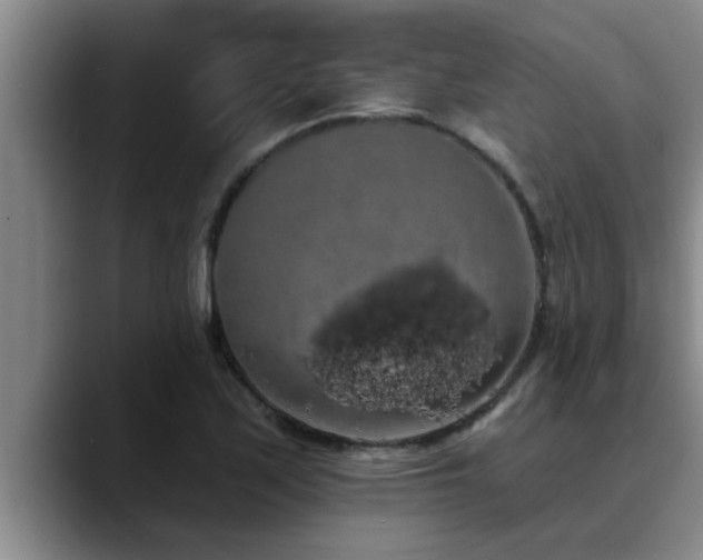 X0000090711171200707201210