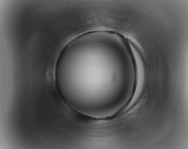 X0000090711173200707201210