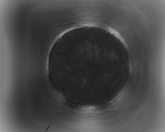 X0000090711174200707201210