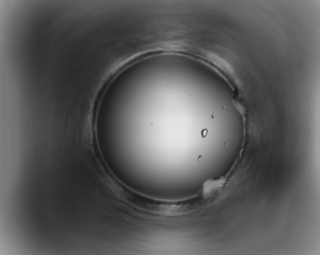 X0000090711176200707201210