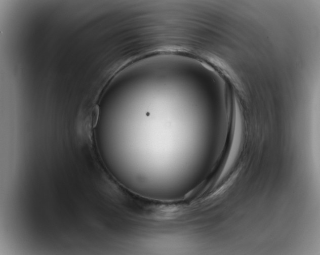 X0000090711177200707201210