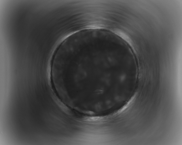 X0000090711179200707201210