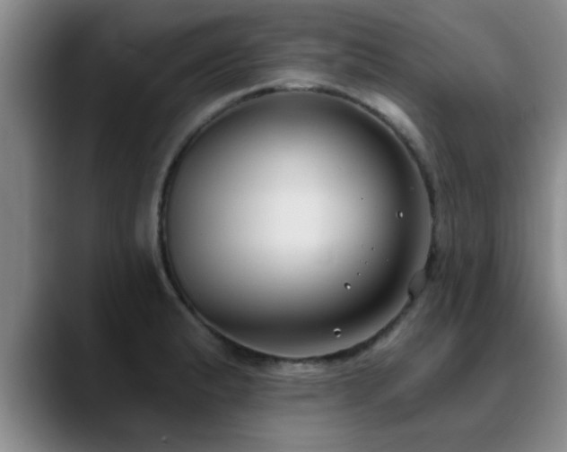 X0000090711183200707201210