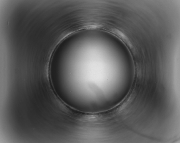 X0000090711186200707201210