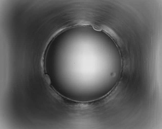 X0000090711190200707201210