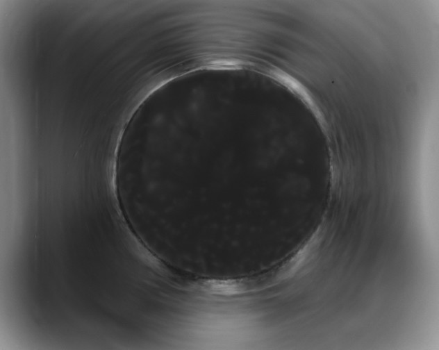 X0000090711194200707201210