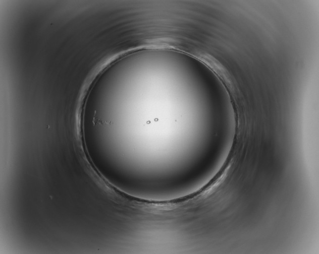 X0000090711196200707201210