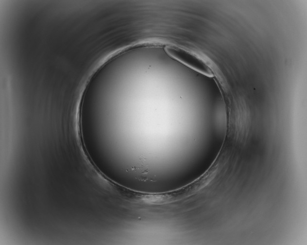 X0000090711199200707201210