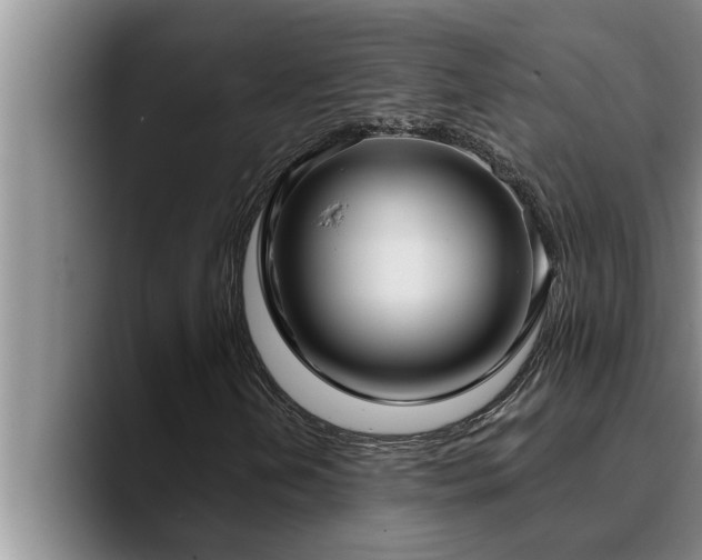 X0000090711202200707201209