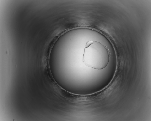 X0000090711211200707201209