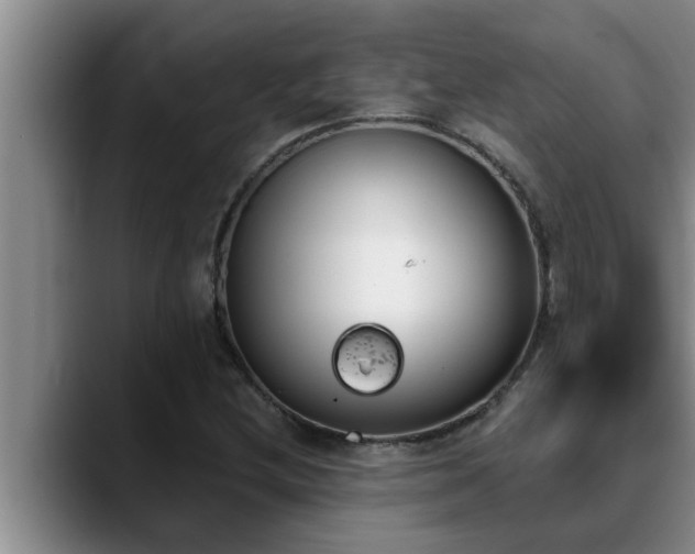 X0000090711212200707201209