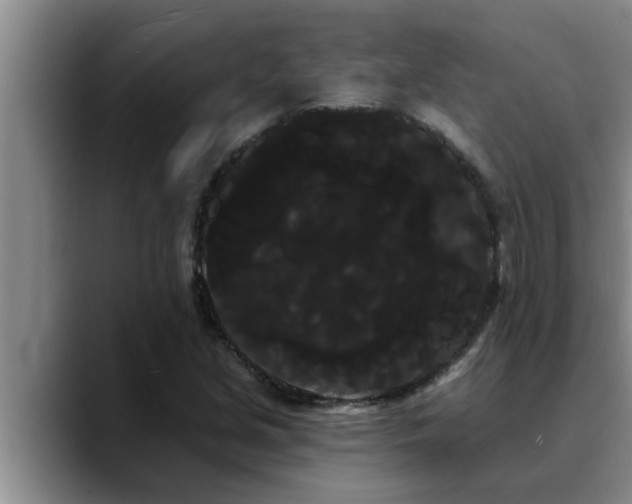 X0000090711213200707201209