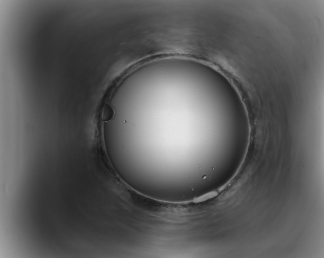 X0000090711215200707201209