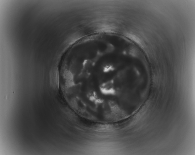 X0000090711219200707201209