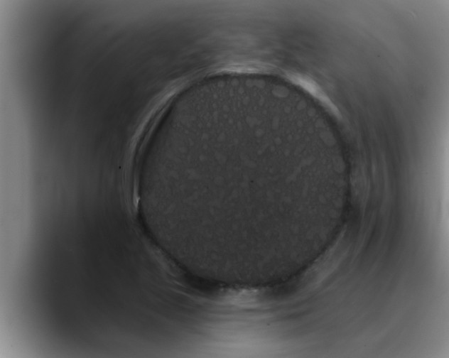 X0000090711221200707201209