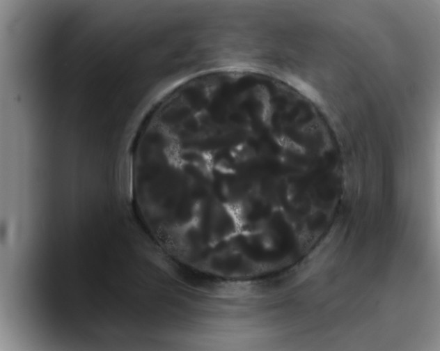 X0000090711223200707201209