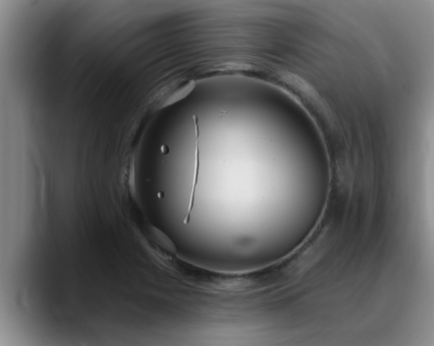 X0000090711225200707201209