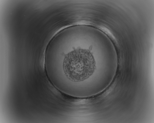 X0000090711228200707201209