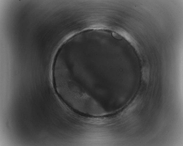 X0000090711229200707201209