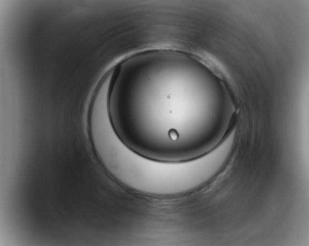 X0000090711230200707201209