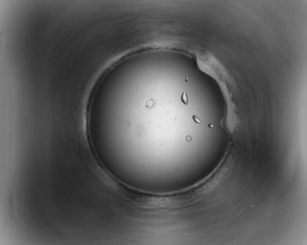 X0000090711232200707201209