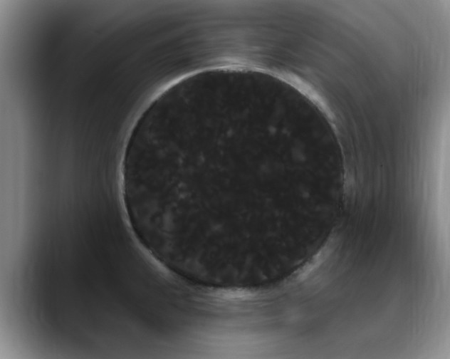 X0000090711239200707201209