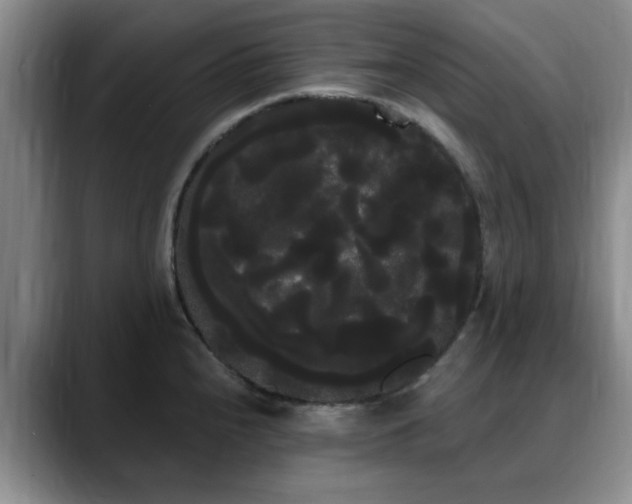 X0000090711240200707201209