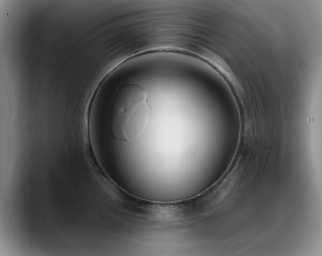 X0000090711242200707201209