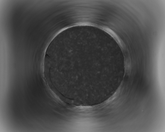 X0000090711244200707201210