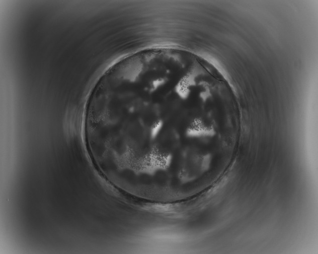 X0000090711245200707201210